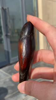 新疆和田玉,万年黑皮原石